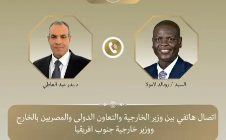 محادثات هاتفية مثمرة بين وزيري خارجية مصر وجنوب أفريقيا حول آخر المستجدات الإقليمية