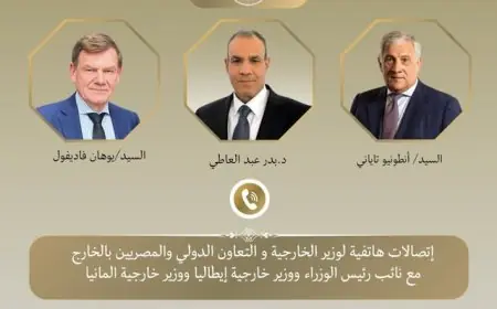وزير الخارجية يناقش مستجدات الأوضاع وجهود خفض التصعيد مع نظيريه الألماني والإيطالي في المنطقة