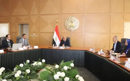 وزير الكهرباء يعلن عن توفير 18 ألف ميجاوات ساعة و3.5 مليون متر مكعب من الوقود في أسبوع واحد