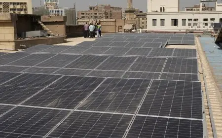 اكتشف الخطة الجديدة للكهرباء لتوليد الطاقة الشمسية في المباني الحكومية