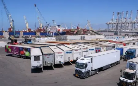 ميناء دمياط يستضيف شحنات أوروبية متجهة للخليج عبر خدمة الرورو