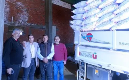 الزراعة تكثف حملاتها الرقابية لضبط الغش في تقاوي الأرز قبل بدء الموسم الزراعي