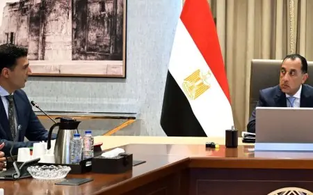 رئيس الوزراء يراجع آخر تطورات برنامج تنمية صناعة السيارات في الوطن العربي