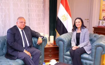 لقاء مثمر بين وزيرة التضامن الاجتماعي ورئيس المجلس القومي لحقوق الإنسان