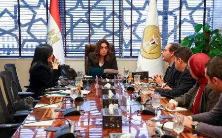 وزيرة التنمية المحلية والبيئة تبحث تعاونًا مبتكرًا مع اتحاد بنوك مصر لتمويل الاستدامة وبرنامج NEXT GEN
