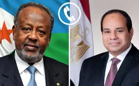 اتصال هام بين الرئيس السيسي ورئيس جيبوتي إسماعيل عمر جيلة يكشف تفاصيل جديدة