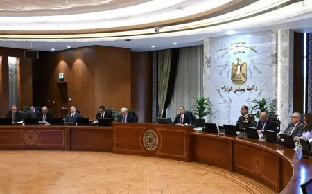 نائب رئيس الوزراء يعقد جلسة عمل هامة مع مؤسسات التمويل والتنمية الأمريكية