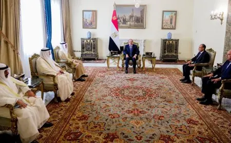 السيسي يؤكد أن أمن الدول العربية والكويت جزء لا يتجزأ من الأمن القومي المصري
