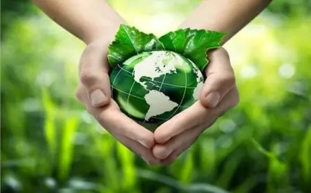 كيفية التقديم في الدورة الرابعة من المبادرة الوطنية للمشروعات الخضراء الذكية