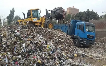 أسباب انتشار الذباب بكثافة في القاهرة والجيزة وشكاوى بالجملة: تعرف على 3 عوامل رئيسية للظاهرة