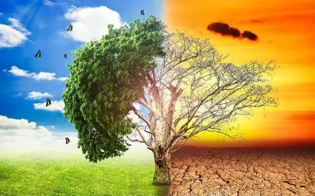 تأثير التغيرات المناخية والاضطرابات العالمية على زيادة أسعار الغذاء والطاقة