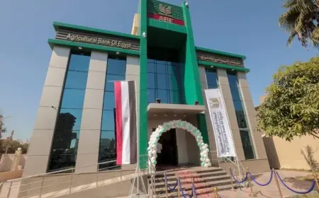 تعرف على قروض البنك الزراعي 2026 تمويل ميسر بفائدة منخفضة وتسهيلات سداد للمزارعين