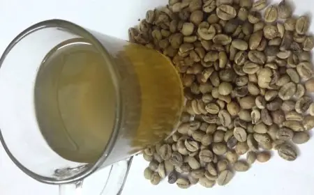 كارثة صحية تصيب الجسم بسبب أعشاب التخسيس شاهد تصريحات مجدي نزيه كاملة