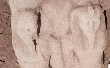 اكتشاف تمثال ضخم يزن 6 أطنان ويصل ارتفاعه لأكثر من 2 متر في منطقة تل فرعون بمحافظة الشرقية