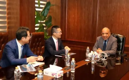 وزير الكهرباء يتعاون مع هواوي لتعزيز مشروعات الطاقة المتجددة