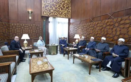 شيخ الأزهر يحذر: التعليم ليس سلعة أو وسيلة للربح المادي