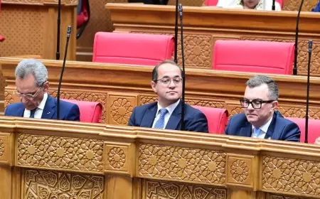 وزير المالية يكشف عن الأولويات: توسيع القاعدة الضريبية وبناء الثقة مع تخصيص مليار جنيه لدعم الاقتصاد