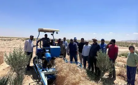 أعياد تحرير سيناء: وزير الزراعة يكشف حصاد عام كامل من التنمية الزراعية في سيناء