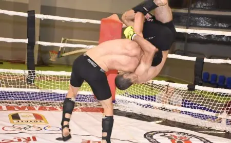 الجمعة القادمة: نهائي بطولة الجمهورية المثيرة للفنون القتالية المختلطة MMA