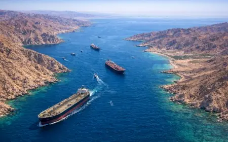 ألمانيا تعلن جاهزيتها للمشاركة في دعم حرية الملاحة بمضيق هرمز بالتوافق مع القانون الدولي