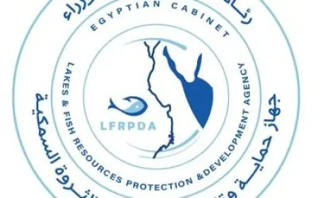 تنمية البحيرات تحصل على الاعتماد الأوروبي لخططها لتصدير الأسماك المصرية