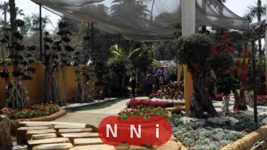 التقنيات الحديثة تسهم في تقليل التكلفة بنسبة 70% وتعزز من نمو الصادرات بفضل جهود وزارة الزراعة