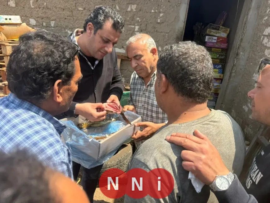 القبض على أسماك مدخنة و رنجة مجهولة المصدر ومشتبه بصلاحيتها للاستهلاك الآدمي في الغربية