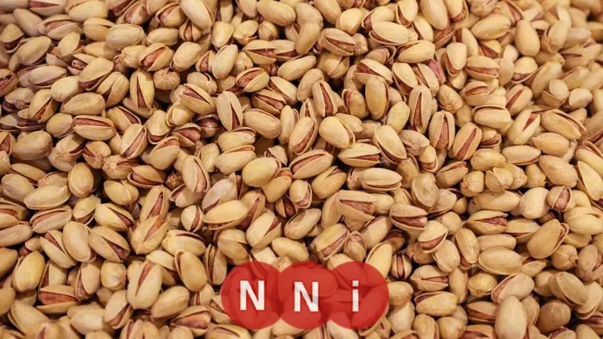 أسعار الفستق تحلق إلى أعلى مستوياتها خلال 8 سنوات