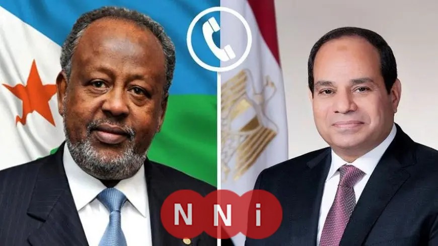 اتصال هام بين الرئيس السيسي ورئيس جيبوتي إسماعيل عمر جيلة يكشف تفاصيل جديدة