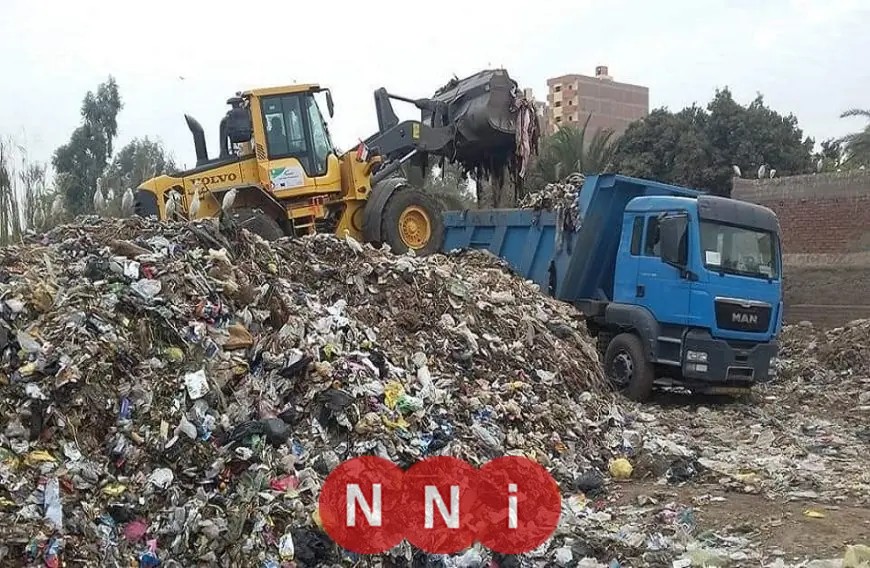 أسباب انتشار الذباب بكثافة في القاهرة والجيزة وشكاوى بالجملة: تعرف على 3 عوامل رئيسية للظاهرة