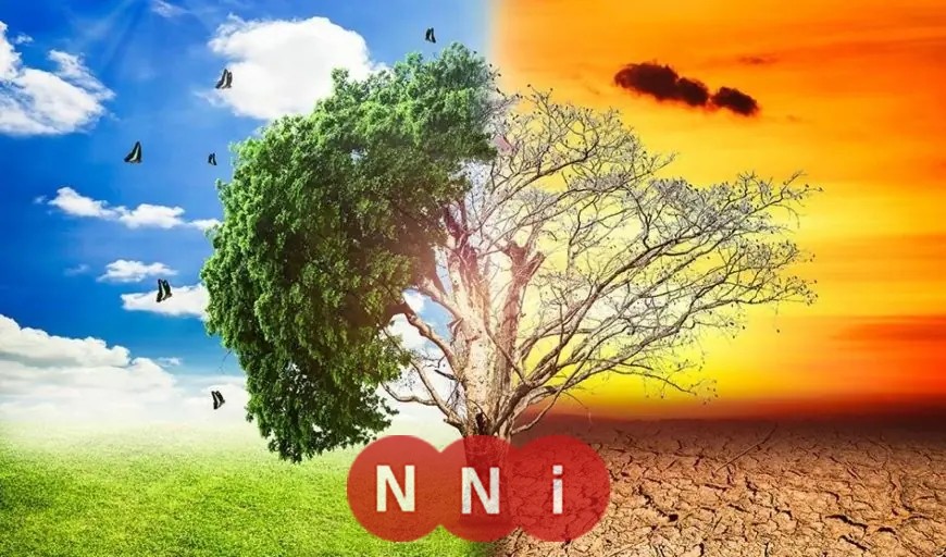 تأثير التغيرات المناخية والاضطرابات العالمية على زيادة أسعار الغذاء والطاقة