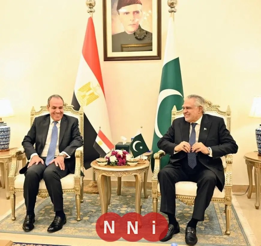 وزير الخارجية يناقش تطورات المفاوضات الأمريكية الإيرانية مع نظيره الباكستاني