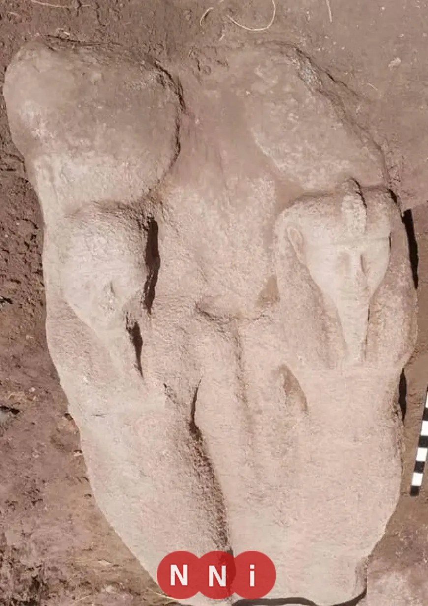 اكتشاف تمثال ضخم يزن 6 أطنان ويصل ارتفاعه لأكثر من 2 متر في منطقة تل فرعون بمحافظة الشرقية