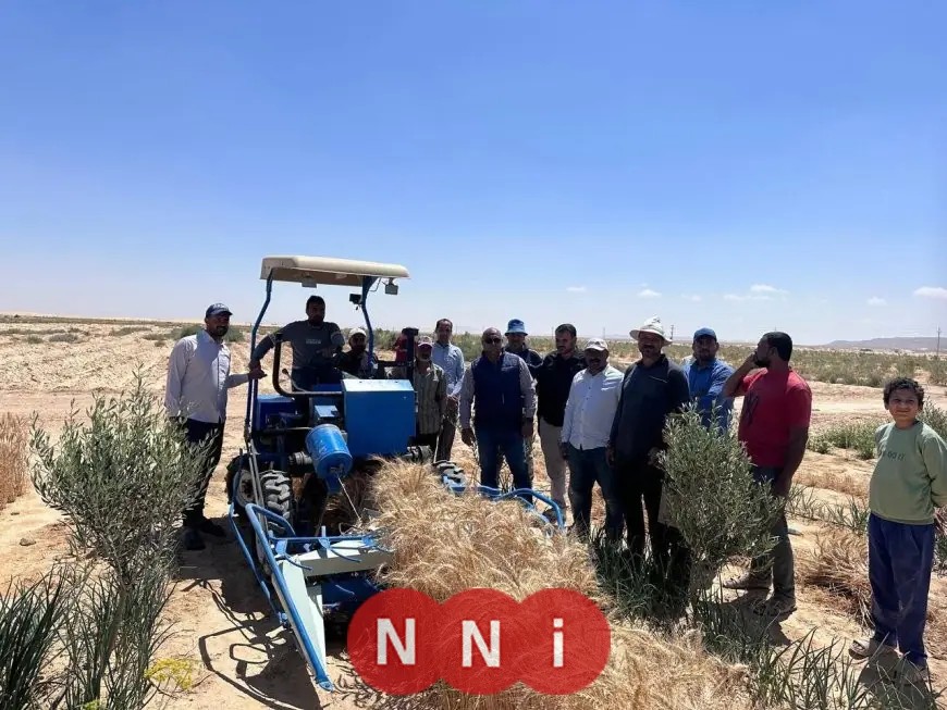 أعياد تحرير سيناء: وزير الزراعة يكشف حصاد عام كامل من التنمية الزراعية في سيناء