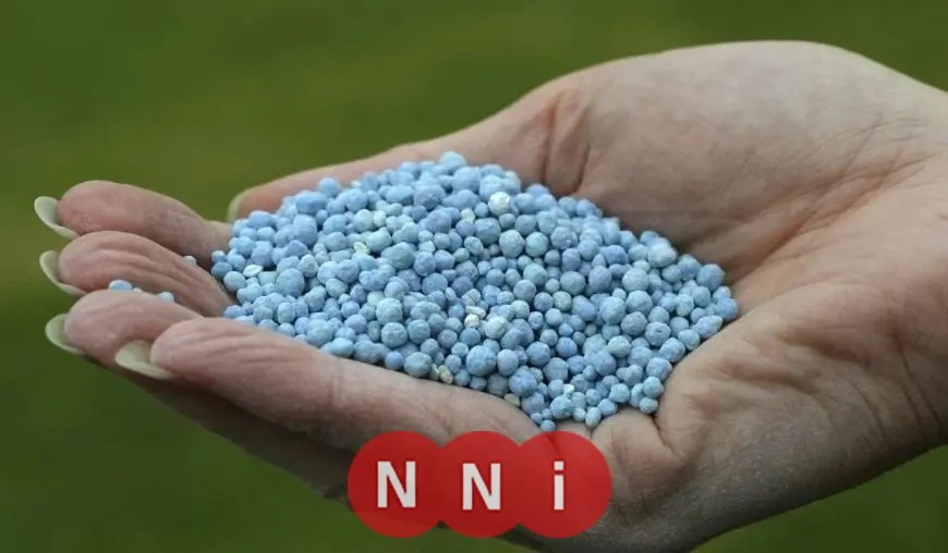 اكتشاف حقيقة أزمة الأسمدة الزراعية وتأثيرها على الموسم الصيفي