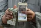 موعد صرف معاش تكافل وكرامة لشهر مايو 2026 أعلنته التضامن التفاصيل هنا