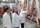 قرار وقف إجازات الأطباء البيطريين وموظفي المجازر في الجيزة خلال عيد الأضحى
