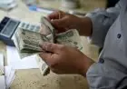 موعد زيادة المعاشات لما يزيد عن 11 مليون مستفيد بعد انتهاء العيد