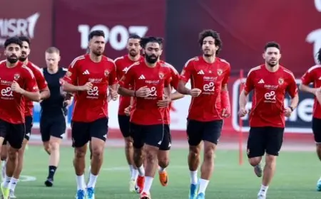 عفت نصار يكشف عن تعاقدات الأهلي التي لا تلبي احتياجات الفريق الحقيقية