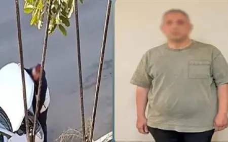 فضيحة في مصر الجديدة: تفاصيل واقعة الأفعال الخادشة للحياء أمام سور كلية البنات والتعليم العالي توضح الملابسات