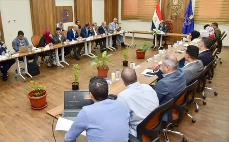 الدواء تجتمع مع شركات التوزيع لمتابعة مبادرة سحب الأدوية المنتهية الصلاحية