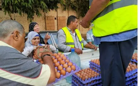 تعرف على أهمية البيض والدواجن كمصادر غنية بالبروتين عالي القيمة