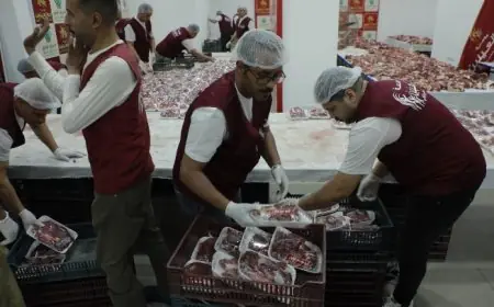 مؤسسة أبو العينين توزع لحوم الأضاحي في المحافظات بمساعدة 500 متطوع وذبح 1200 رأس تحت التحالف الوطني