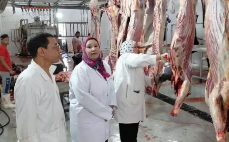 قرار وقف إجازات الأطباء البيطريين وموظفي المجازر في الجيزة خلال عيد الأضحى