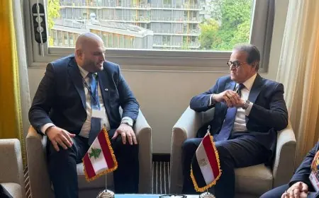 وزير الصحة يناقش تعزيز التعاون مع نظيره اللبناني لدعم القطاع الصحي اللبناني