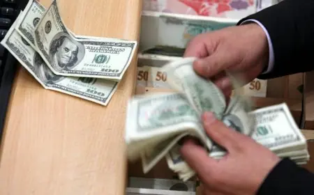 انخفاض 47 قرشًا لسعر الدولار أمام الجنيه اليوم الأحد في البنوك