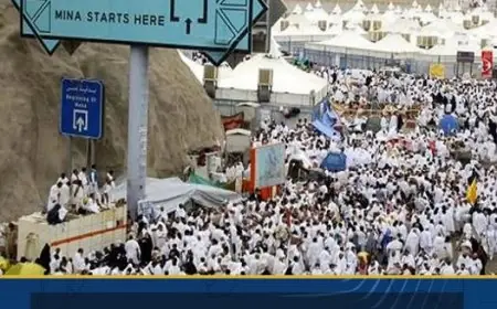 النظام الرقمي المتطور يحقق كفاءة عالية في إدارة موسم الحج