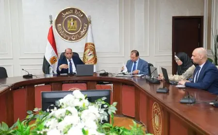 وزير العمل يكشف عن إتمام فحص أوراق 4 لجان عمالية لاعتمادها قريبًا