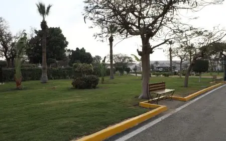 استعدادات قصوى في القاهرة لعيد الأضحى مع إيقاف إجازات عمال النظافة