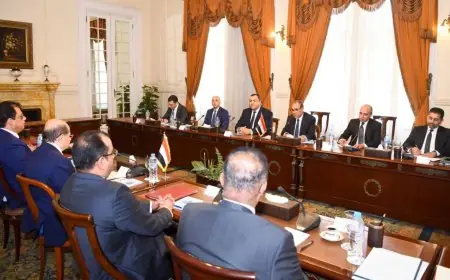 وزير الخارجية يقود الحوار الاستراتيجي التاسع بين مصر واليمن بمشاركة نظيره اليمني